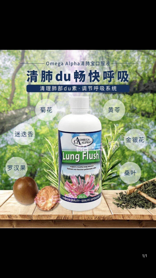 清肺宝液体500毫升