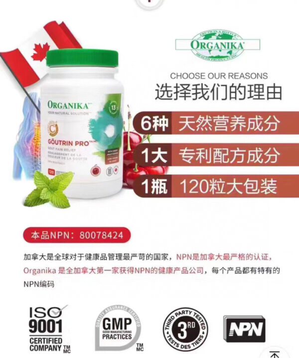 ORGANIKA天然抗痛风灵120粒 - 图片 8