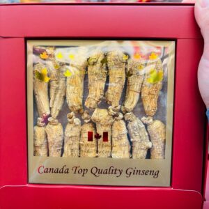 加拿大花旗参5年10克中短枝花旗参